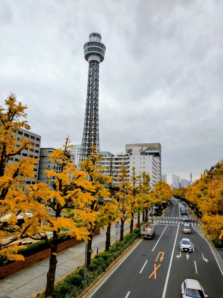 再びポーリン橋から