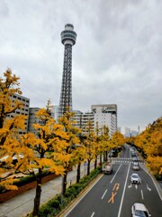 再びポーリン橋から