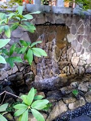水に流す