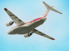 20251118-レオニス