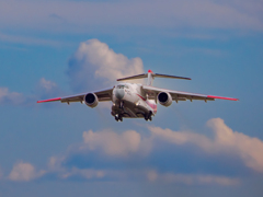 20251118-レオニス