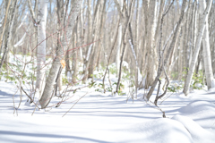 善五郎の滝 周辺