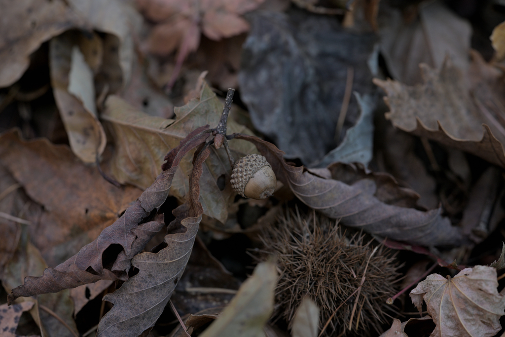 奈良井宿（鳥居峠）