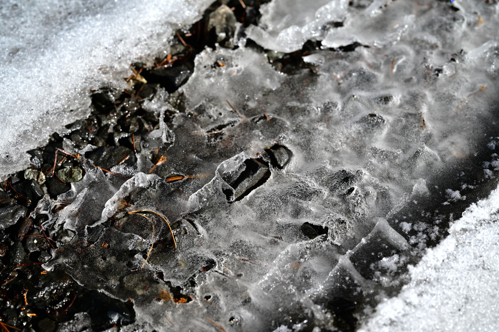 善五郎の滝 周辺