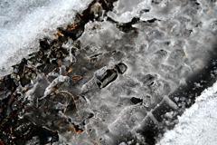 善五郎の滝 周辺