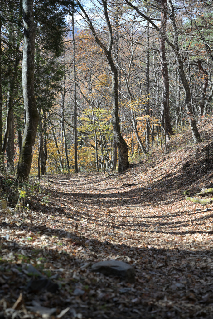 奈良井宿（鳥居峠）