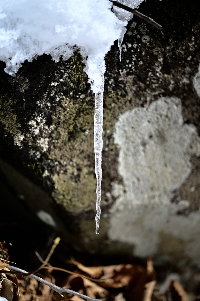 善五郎の滝 周辺