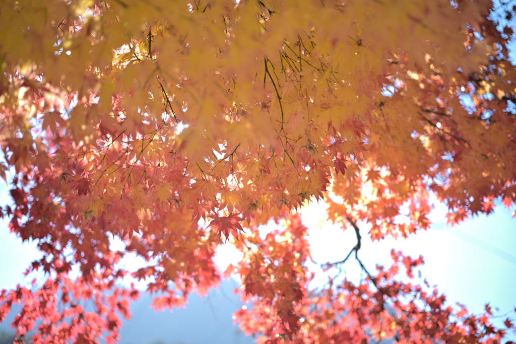 奈良井宿（鳥居峠）