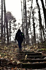 軽井沢 野鳥の森