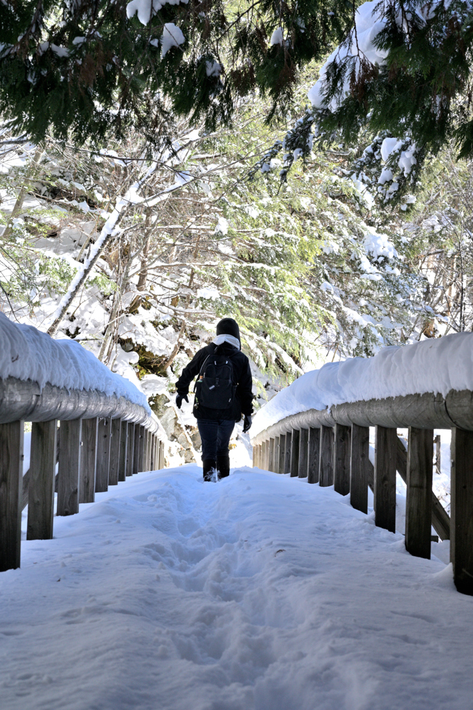 善五郎の滝 周辺