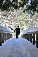 善五郎の滝 周辺