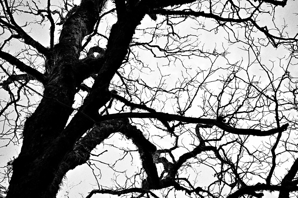 奈良井宿（鳥居峠）