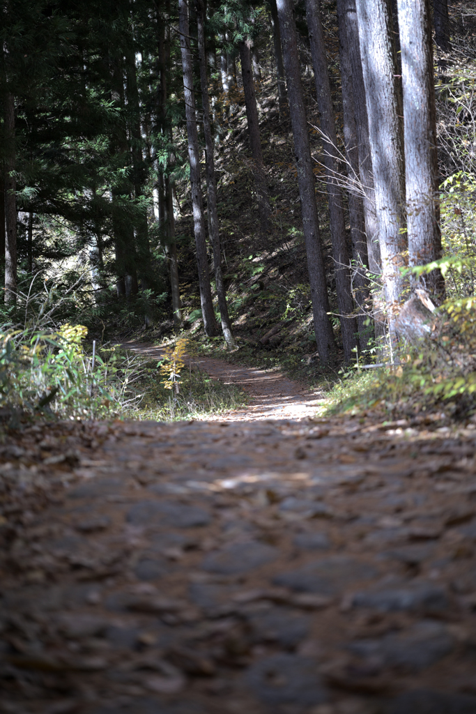 奈良井宿（鳥居峠）