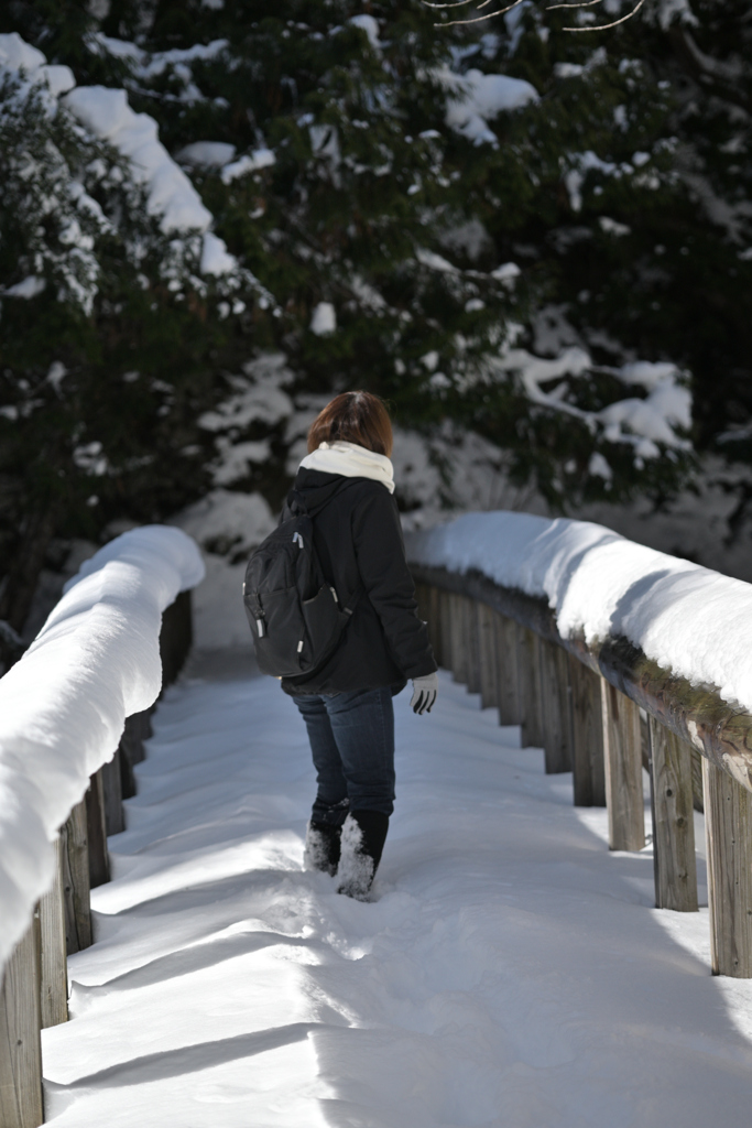 善五郎の滝 周辺