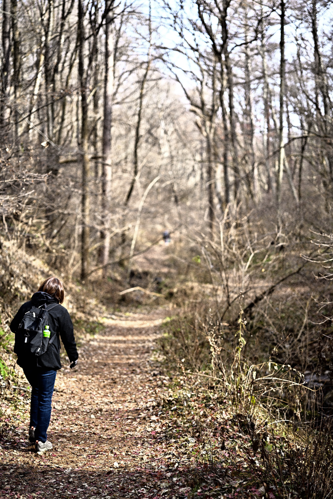 軽井沢 野鳥の森