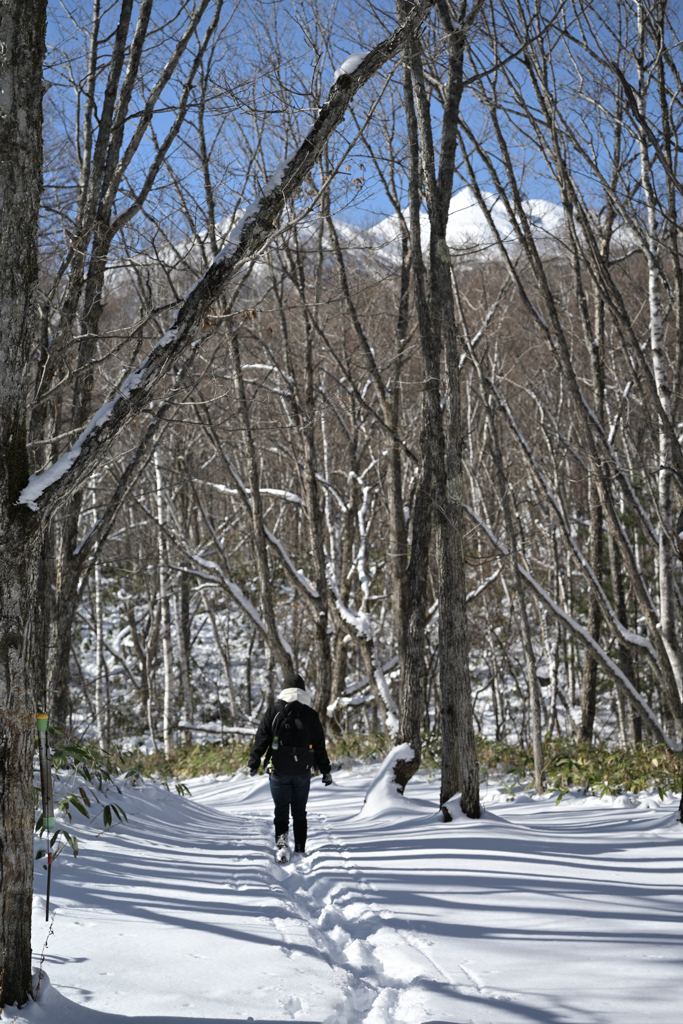 善五郎の滝 周辺