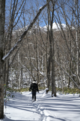 善五郎の滝 周辺