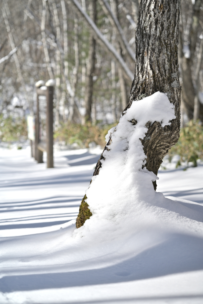 善五郎の滝 周辺