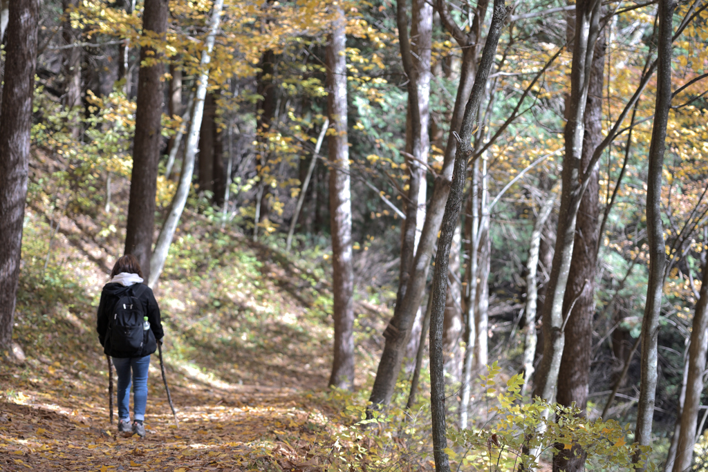 奈良井宿（鳥居峠）