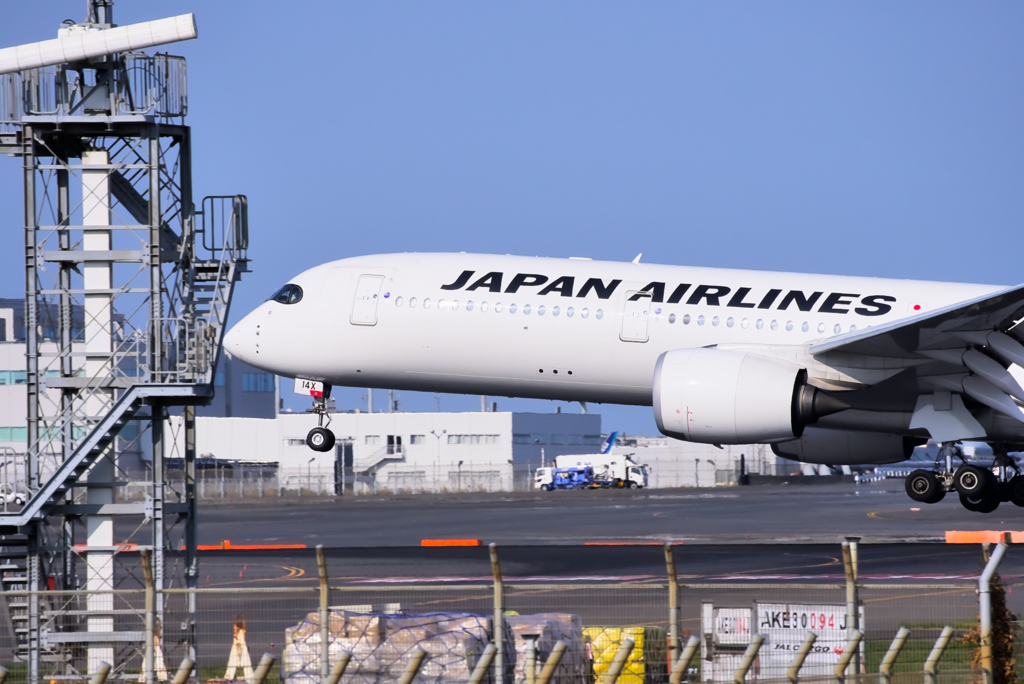 刺さってる！？