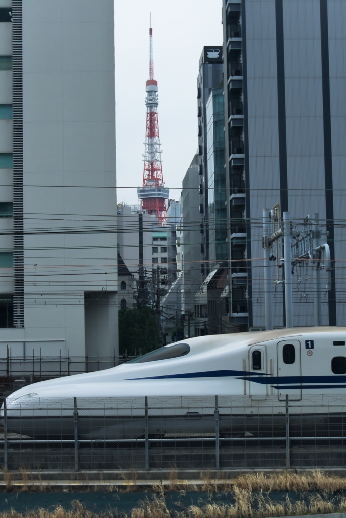 東京に着いたら探していたもの