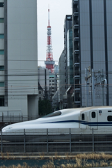 東京に着いたら探していたもの