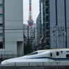 東京に着いたら探していたもの