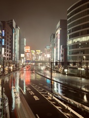 濡れた街