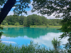 翠玉