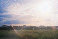 夕焼け