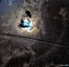 水溜まりの中の宇宙