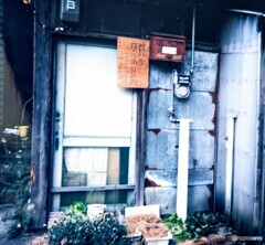 25年前の写真