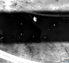 ちいさな宇宙