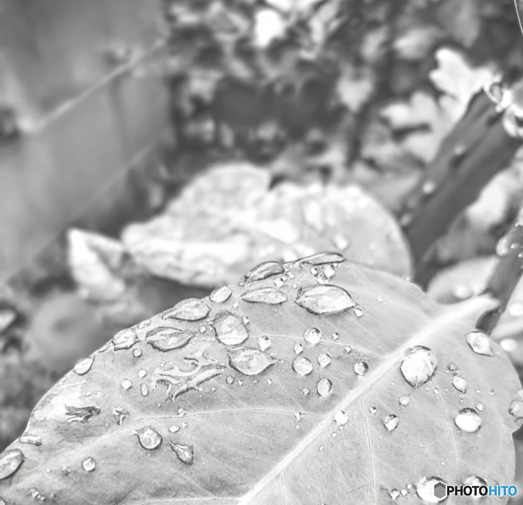 雨降り
