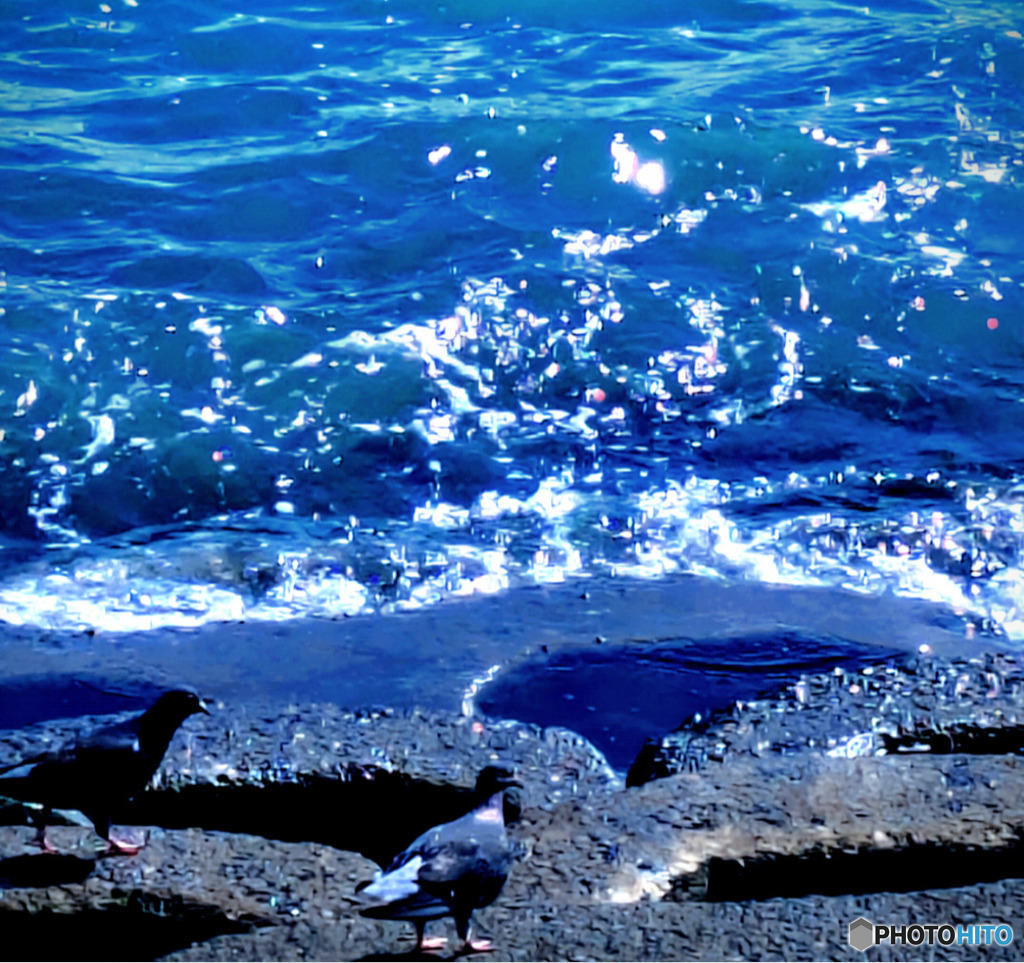 海にあそびに
