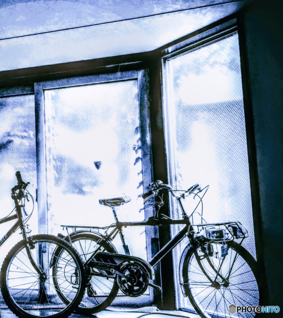 自転車屋さんの窓辺