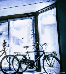 自転車屋さんの窓辺