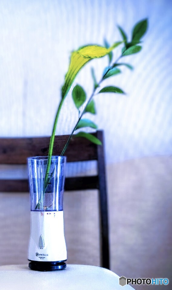イエローの花