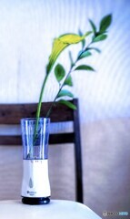 イエローの花