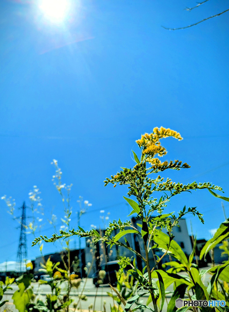 夏空