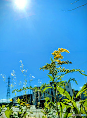夏空
