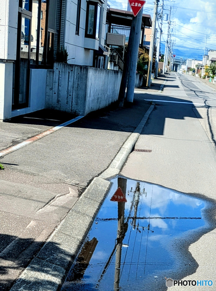 水溜まりの中の世界が好き