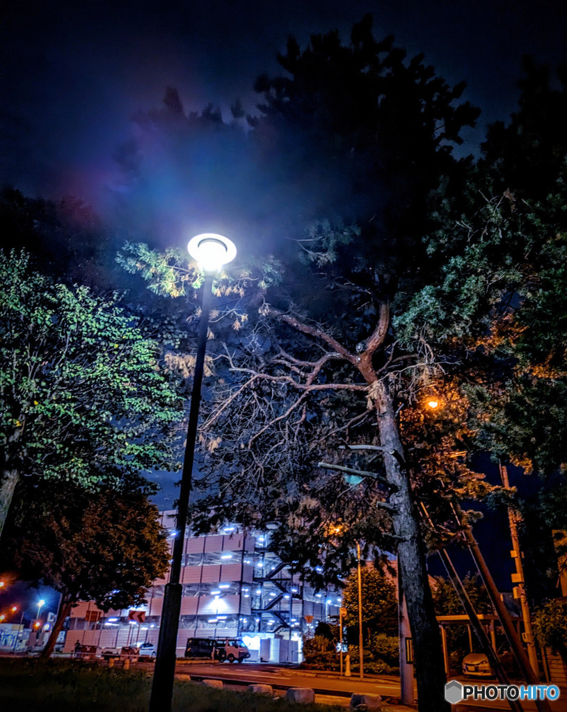 夜の散歩と街灯