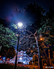 夜の散歩と街灯
