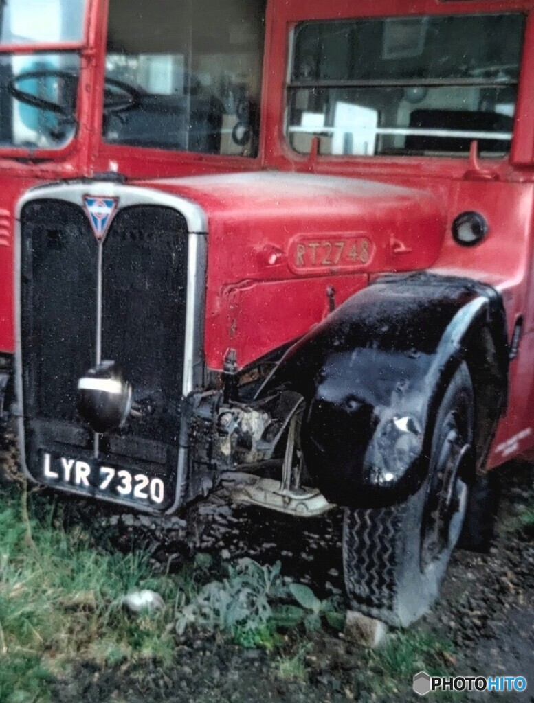 Bus