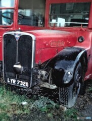 Bus
