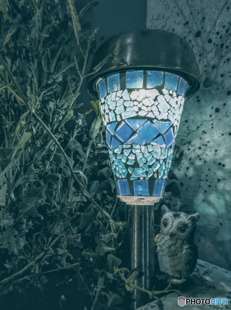夜の灯り