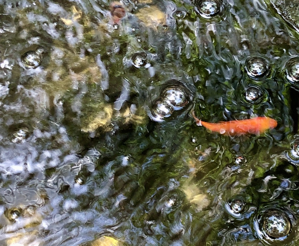 「 涼 」