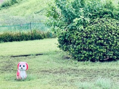 野生の遊具