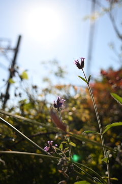 スキマ時間の1枚